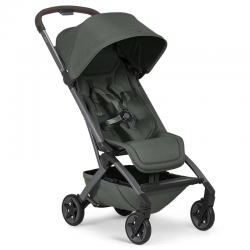 Silla de paseo Aer 2 Joolz Forest Green
